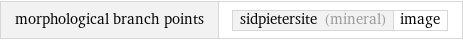 morphological branch points | sidpietersite (mineral) | image