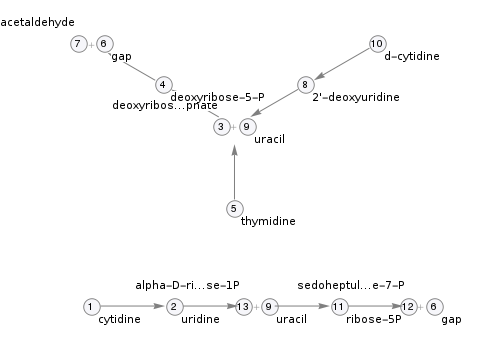 Pathway topology