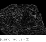  (using radius=2)