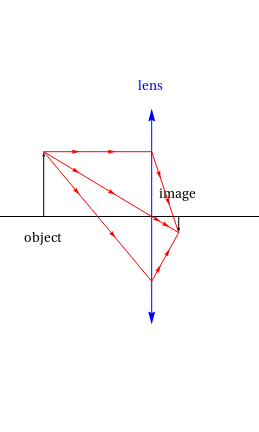 Ray plot