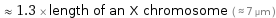  ≈ 1.3 × length of an X chromosome ( ≈ 7 µm )
