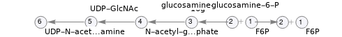 Pathway topology