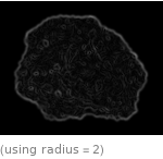  (using radius=2)