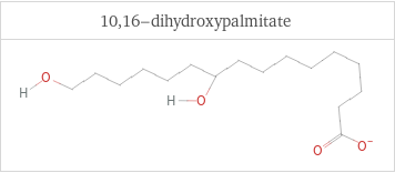 Structure diagrams