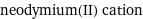 neodymium(II) cation