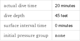 actual dive time | 20 minutes dive depth | 45 feet surface interval time | 0 minutes initial pressure group | none