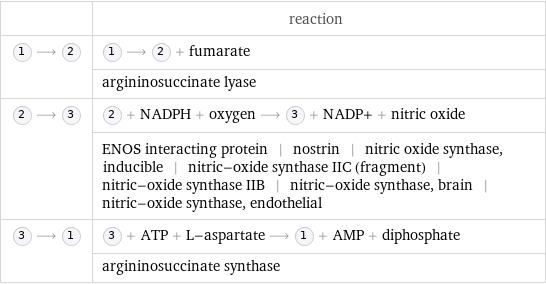  | reaction  ⟶ | ⟶ + fumarate  | argininosuccinate lyase  ⟶ | + NADPH + oxygen ⟶ + NADP+ + nitric oxide  | ENOS interacting protein | nostrin | nitric oxide synthase, inducible | nitric-oxide synthase IIC (fragment) | nitric-oxide synthase IIB | nitric-oxide synthase, brain | nitric-oxide synthase, endothelial  ⟶ | + ATP + L-aspartate ⟶ + AMP + diphosphate  | argininosuccinate synthase