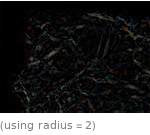  (using radius=2)