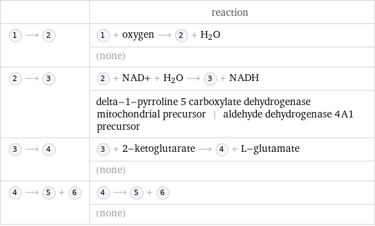  | reaction  ⟶ | + oxygen ⟶ + H_2O  | (none)  ⟶ | + NAD+ + H_2O ⟶ + NADH  | delta-1-pyrroline 5 carboxylate dehydrogenase mitochondrial precursor | aldehyde dehydrogenase 4A1 precursor  ⟶ | + 2-ketoglutarate ⟶ + L-glutamate  | (none)  ⟶ + | ⟶ +   | (none)