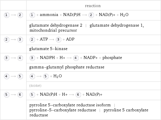  | reaction  ⟶ | + ammonia + NAD(P)H ⟶ + NAD(P)+ + H_2O  | glutamate dehydrogenase 2 | glutamate dehydrogenase 1, mitochondrial precursor  ⟶ | + ATP ⟶ + ADP  | glutamate 5-kinase  ⟶ | + NADPH + H+ ⟶ + NADP+ + phosphate  | gamma-glutamyl phosphate reductase  ⟶ | ⟶ + H_2O  | (none)  ⟶ | + NAD(P)H + H+ ⟶ + NAD(P)+  | pyrroline 5-carboxylate reductase isoform | pyrroline-5-carboxylate reductase | pyrroline 5 carboxylate reductase