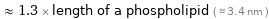  ≈ 1.3 × length of a phospholipid ( ≈ 3.4 nm )