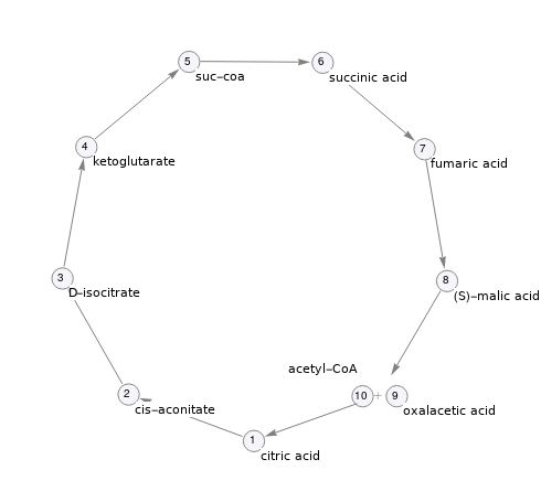 Pathway topology