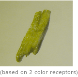  (based on 2 color receptors)