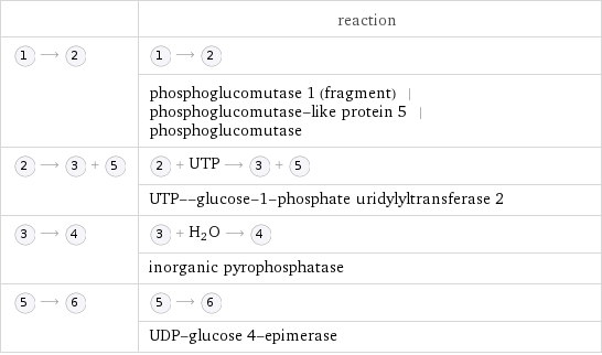  | reaction  ⟶ | ⟶   | phosphoglucomutase 1 (fragment) | phosphoglucomutase-like protein 5 | phosphoglucomutase  ⟶ + | + UTP ⟶ +   | UTP--glucose-1-phosphate uridylyltransferase 2  ⟶ | + H_2O ⟶   | inorganic pyrophosphatase  ⟶ | ⟶   | UDP-glucose 4-epimerase