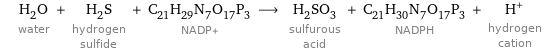 H_2O water + H_2S hydrogen sulfide + C_21H_29N_7O_17P_3 NADP+ ⟶ H_2SO_3 sulfurous acid + C_21H_30N_7O_17P_3 NADPH + H^+ hydrogen cation