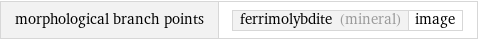 morphological branch points | ferrimolybdite (mineral) | image