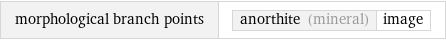 morphological branch points | anorthite (mineral) | image