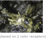  (based on 2 color receptors)