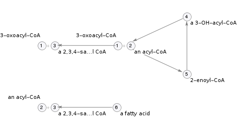 Pathway topology