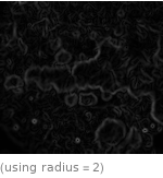  (using radius=2)