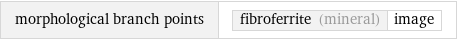 morphological branch points | fibroferrite (mineral) | image