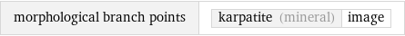 morphological branch points | karpatite (mineral) | image