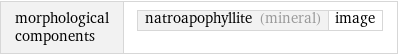 morphological components | natroapophyllite (mineral) | image