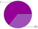 Mass fraction pie chart