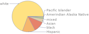 Cultural properties Ethnic mix