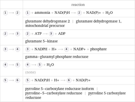  | reaction  ⟶ | + ammonia + NAD(P)H ⟶ + NAD(P)+ + H_2O  | glutamate dehydrogenase 2 | glutamate dehydrogenase 1, mitochondrial precursor  ⟶ | + ATP ⟶ + ADP  | glutamate 5-kinase  ⟶ | + NADPH + H+ ⟶ + NADP+ + phosphate  | gamma-glutamyl phosphate reductase  ⟶ | ⟶ + H_2O  | (none)  ⟶ | + NAD(P)H + H+ ⟶ + NAD(P)+  | pyrroline 5-carboxylate reductase isoform | pyrroline-5-carboxylate reductase | pyrroline 5 carboxylate reductase