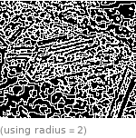  (using radius=2)