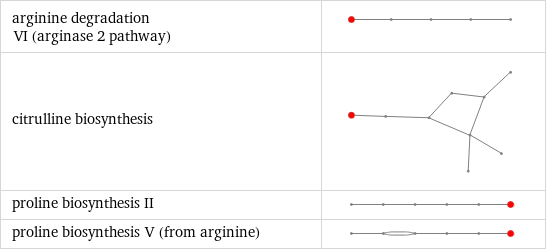 arginine degradation VI (arginase 2 pathway) |  citrulline biosynthesis |  proline biosynthesis II |  proline biosynthesis V (from arginine) | 