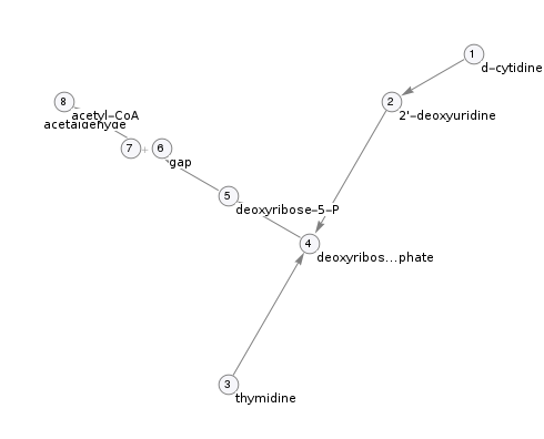 Pathway topology