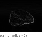  (using radius=2)