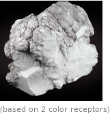  (based on 2 color receptors)