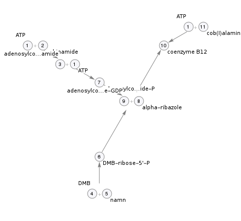 Pathway topology