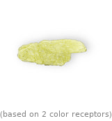  (based on 2 color receptors)