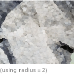  (using radius=2)