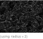  (using radius=2)