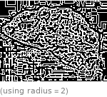  (using radius=2)