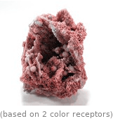  (based on 2 color receptors)