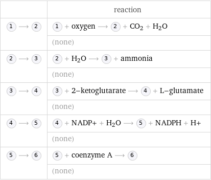  | reaction  ⟶ | + oxygen ⟶ + CO_2 + H_2O  | (none)  ⟶ | + H_2O ⟶ + ammonia  | (none)  ⟶ | + 2-ketoglutarate ⟶ + L-glutamate  | (none)  ⟶ | + NADP+ + H_2O ⟶ + NADPH + H+  | (none)  ⟶ | + coenzyme A ⟶   | (none)