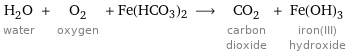 H_2O water + O_2 oxygen + Fe(HCO3)2 ⟶ CO_2 carbon dioxide + Fe(OH)_3 iron(III) hydroxide