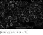  (using radius=2)