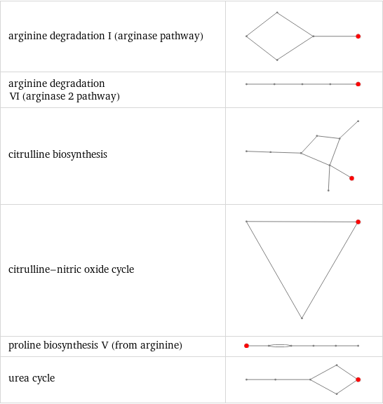 arginine degradation I (arginase pathway) |  arginine degradation VI (arginase 2 pathway) |  citrulline biosynthesis |  citrulline-nitric oxide cycle |  proline biosynthesis V (from arginine) |  urea cycle | 