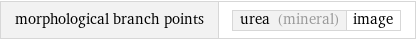 morphological branch points | urea (mineral) | image