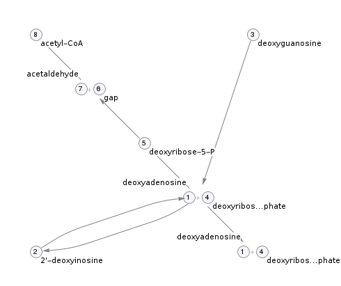 Pathway topology