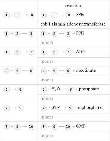  | reaction  + ⟶ | + ⟶ + PPPi  | cob(I)alamin adenosyltransferase  + ⟶ | + ⟶ + PPPi  | (none)  + ⟶ | + ⟶ + ADP  | (none)  + ⟶ | + ⟶ + nicotinate  | (none)  ⟶ | + H_2O ⟶ + phosphate  | (none)  ⟶ | + GTP ⟶ + diphosphate  | (none)  + ⟶ | + ⟶ + GMP  | (none)