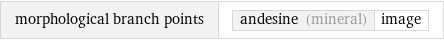 morphological branch points | andesine (mineral) | image