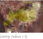  (using radius=2)